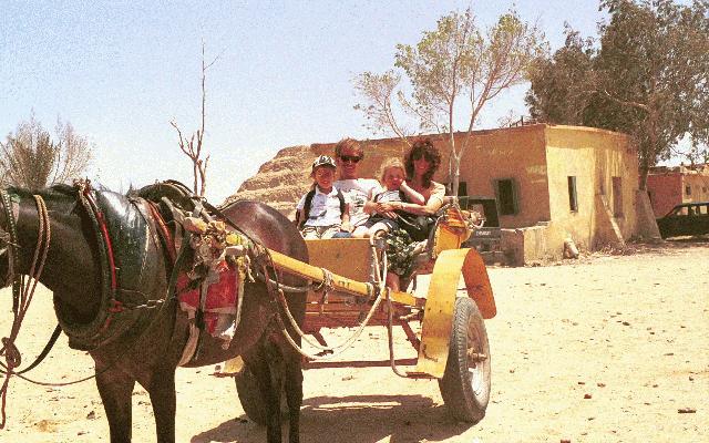 Saqqara horse & us