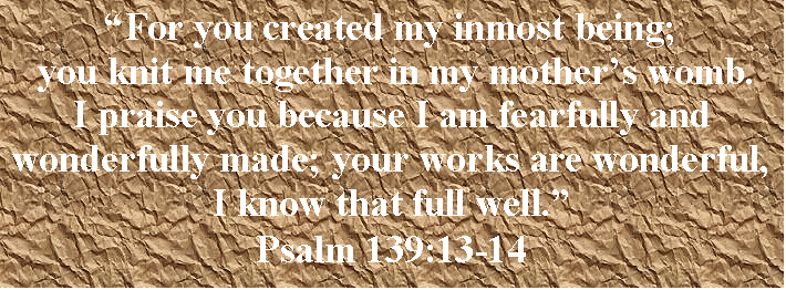 Text Box: For you created my inmost being; 
 you knit me together in my mothers womb. 
I praise you because I am fearfully and wonderfully made; your works are wonderful, I know that full well.
Psalm 139:13-14
